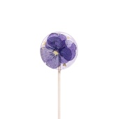 sweetness_flower_isomal sweetness_flower_isomal