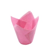 капсула тюльпан розовый капсула тюльпан розовый