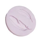 форма силиконовая перо1