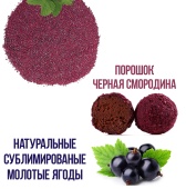 смородина черная сублимированная порошок1