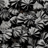 Мини-безе_чёрн2