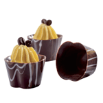 transparent_polycarbonate_chocolate_mold_dented-ro_36265