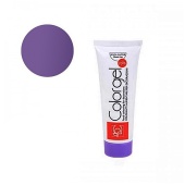 Colorgel Фиолетовый 200гр Colorgel Фиолетовый 200гр