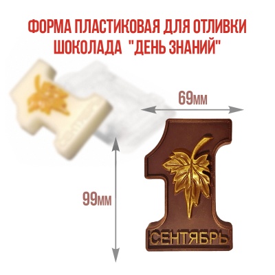 картинка Форма пластиковая для отливки шоколада - "День знаний" от магазина Crumble-shop.ru