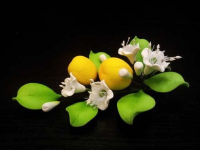 картинка Цветы из мастики - "Цитрусовый букет" (11105*S/p) от магазина Crumble-shop.ru