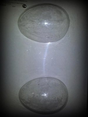 картинка Форма для отливки шоколадных фигурок - "Гладкое яйцо" (SM 2000) от магазина Crumble-shop.ru